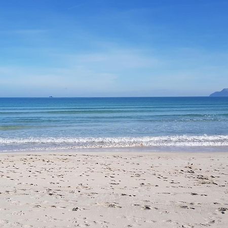 Ideal Property Mallorca - Didi 알쿠디아 외부 사진