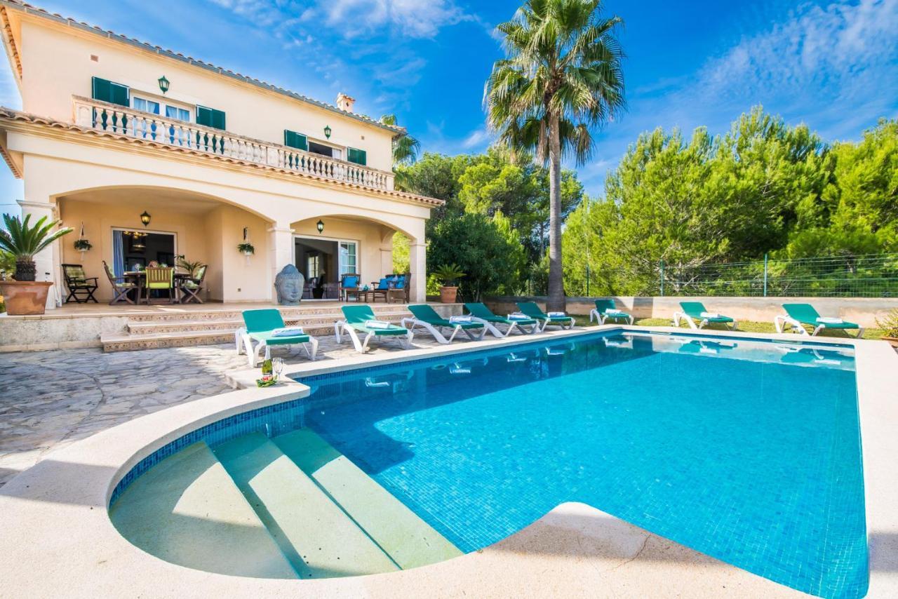 Ideal Property Mallorca - Didi 알쿠디아 외부 사진