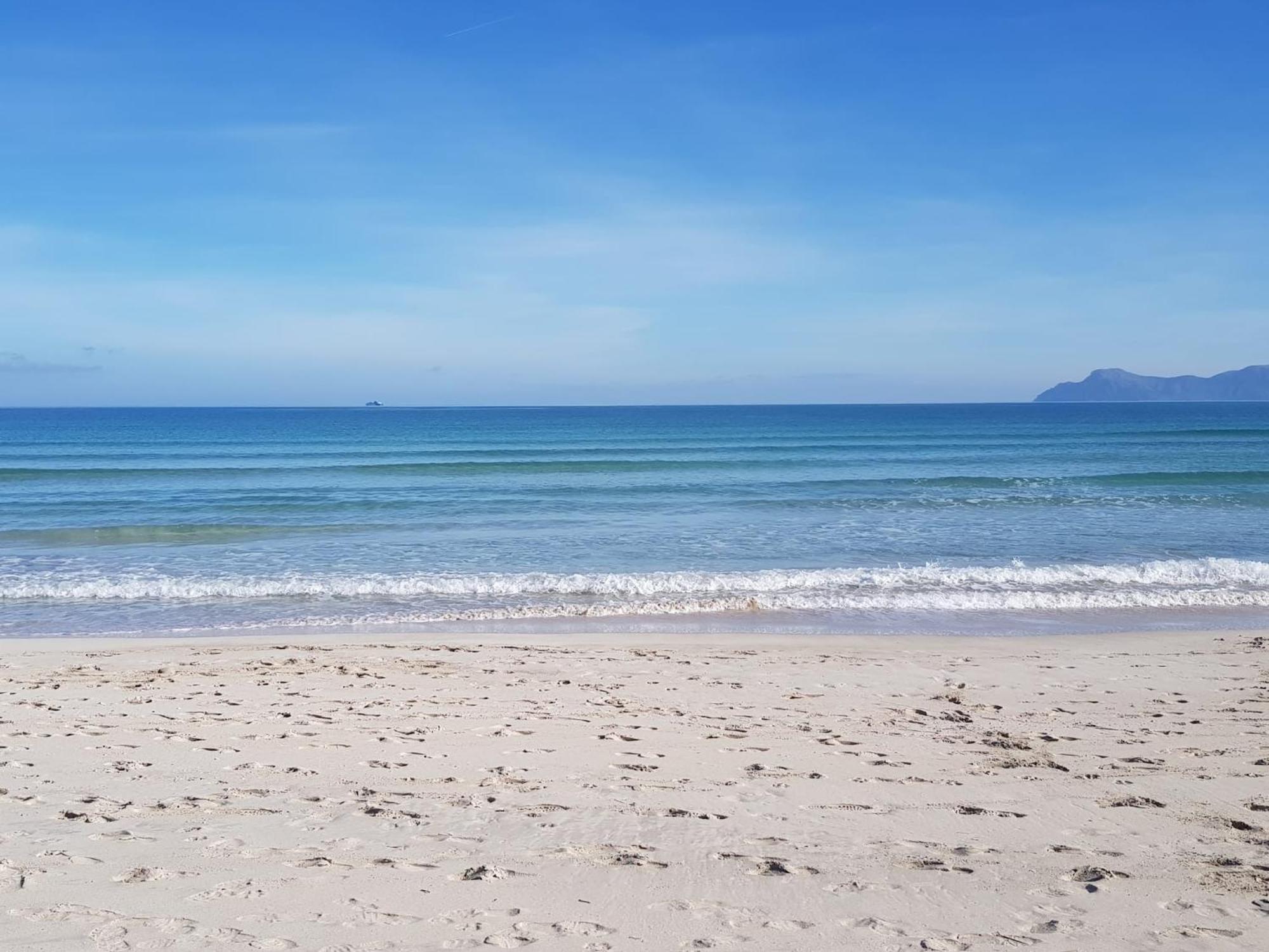 Ideal Property Mallorca - Didi 알쿠디아 외부 사진